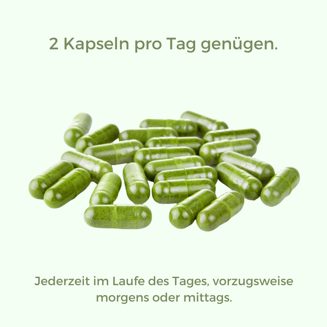 Mulleaf Moringa Blätter Kapseln